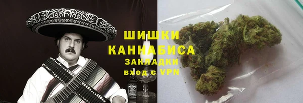 прущая мука Бородино