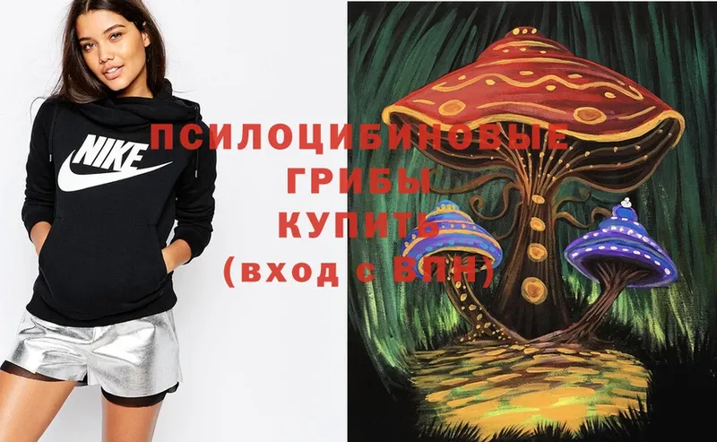 Псилоцибиновые грибы Psilocybe  Калач-на-Дону 